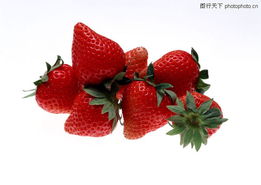 果蔬缤纷 邂逅生活中的鲜活色彩