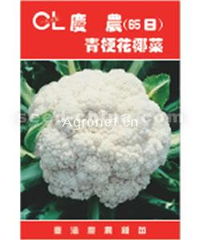 厦门市文兴蔬菜种苗 供应优质‘庆农65天’花椰菜种子