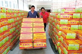 温室暖阳下的绿意生机 大棚蔬菜护稳幸福的“菜篮子”
