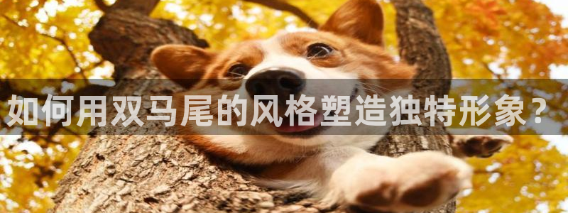 漫蛙官网网址入口