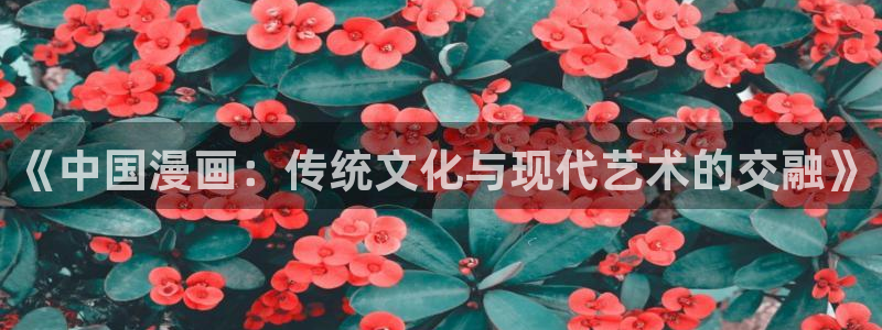 漫蛙manwa用户登录入口