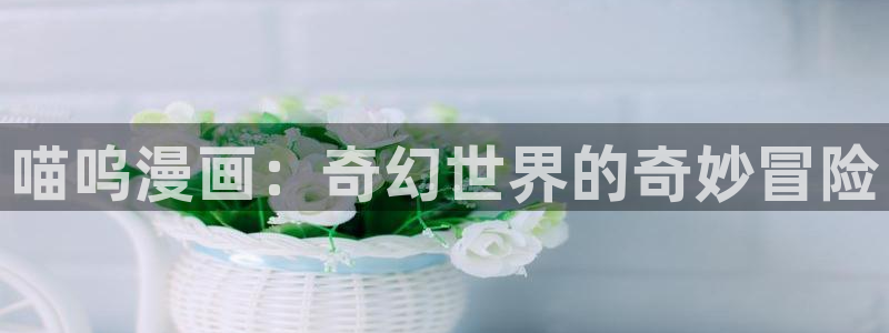 漫蛙账号登录